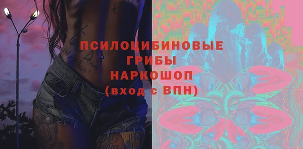 герыч Алексин