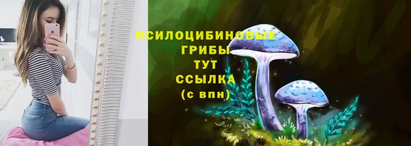 герыч Алексин
