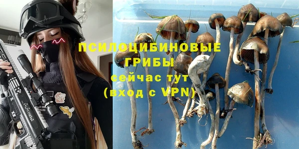 соль ск Алексеевка