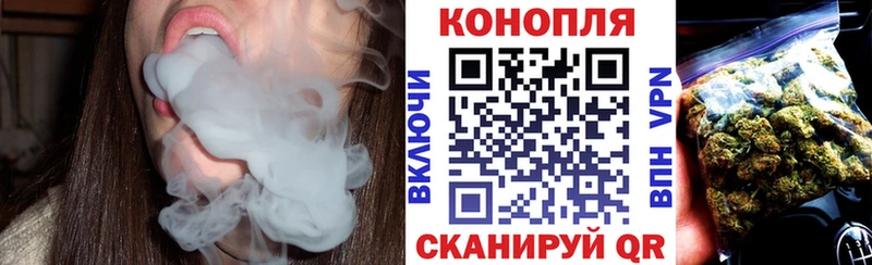 Шишки марихуана SATIVA & INDICA  МЕГА tor  Железногорск 
